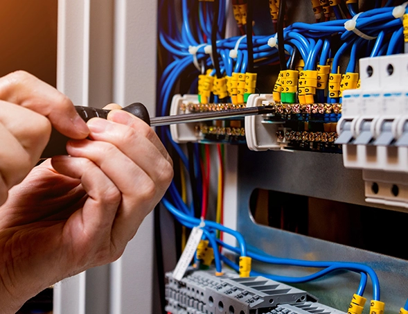 Électricité Générale Langogne, Électricité Générale Pradelles, Électricité Générale Châteauneuf-de-Randon, Électricité Générale Lozère (48)